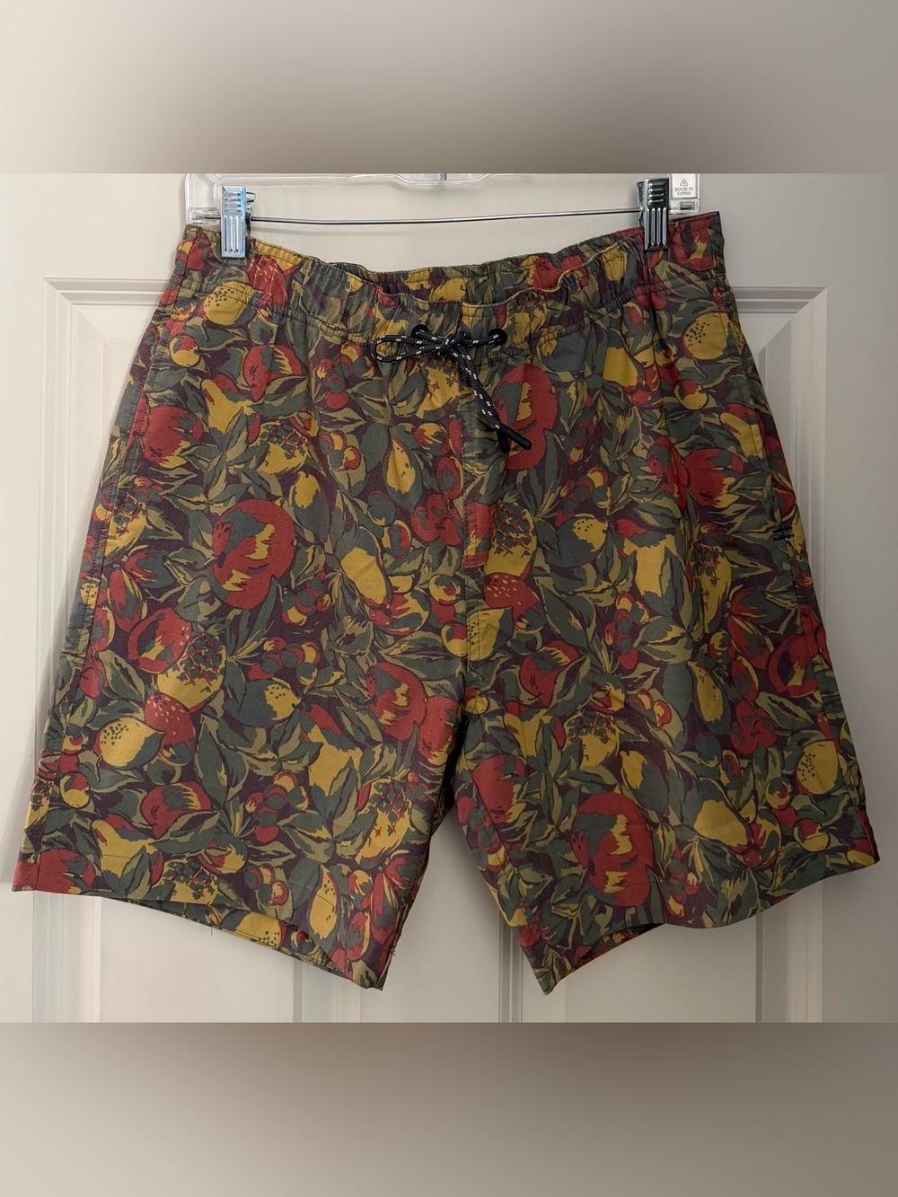 Toad&Co Men's Boundless Pull-On Shorts in the Chive Fruit Print, Medium